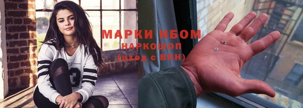 хмурый Алзамай