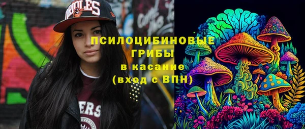 ПСИЛОЦИБИНОВЫЕ ГРИБЫ Алексеевка